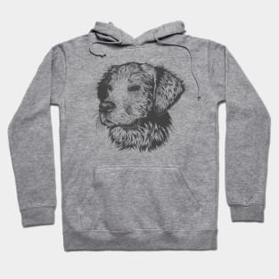 Dog Hoodie